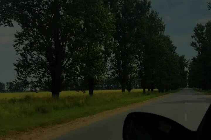 Quadro Extreme — промо